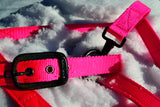 Black Rainbow/Neon Pink Halter