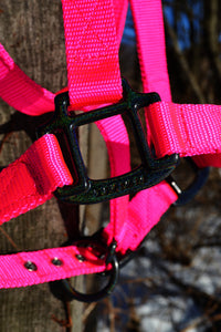 Black Rainbow/Neon Pink Halter