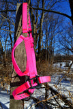 Black Rainbow/Neon Pink Halter