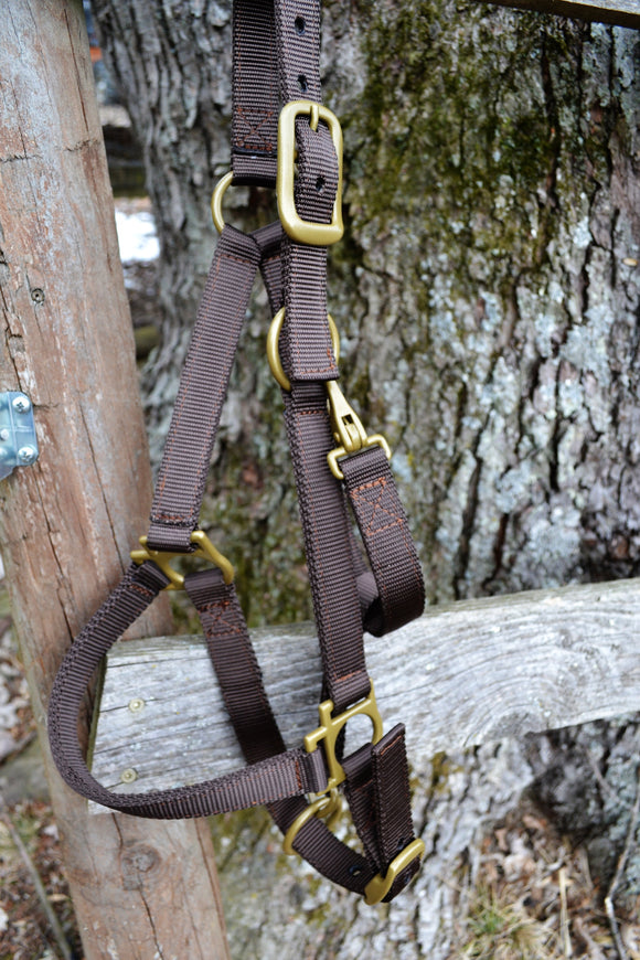 Brown/Gold Halter