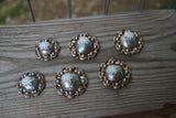 Spider Conchos - Saddle Set - Topaz