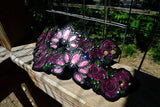 Boot Candy Pink Turquoise N' Roses