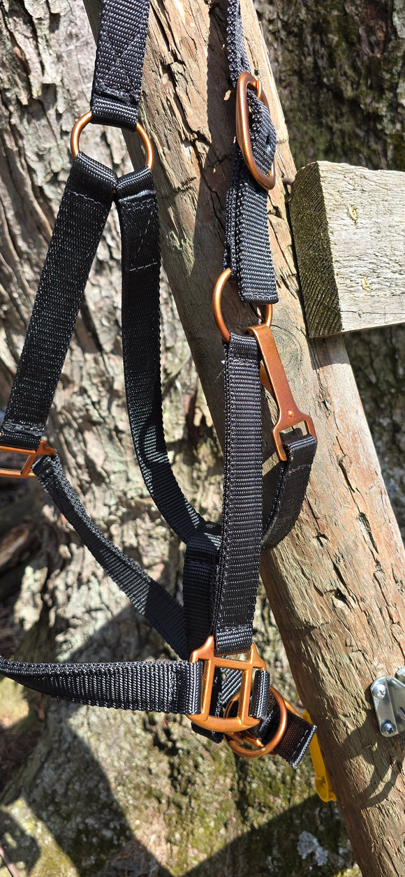 Black/Bright Copper Halter