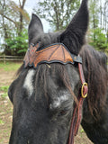 Batty Browband Headstall PREORDER