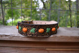 Pumpkins Dog Collar
