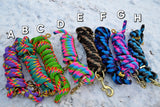 Safety Leads - Assorted Colors