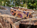 Leopard Dog Collar 13.5 to 15.5"