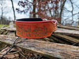 "Kressida's Fire" collar - 2" wide