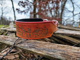 "Kressida's Fire" collar - 1.5" wide